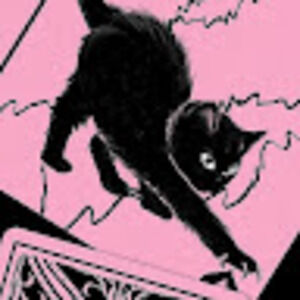 Meet your Posher, Aaliyah